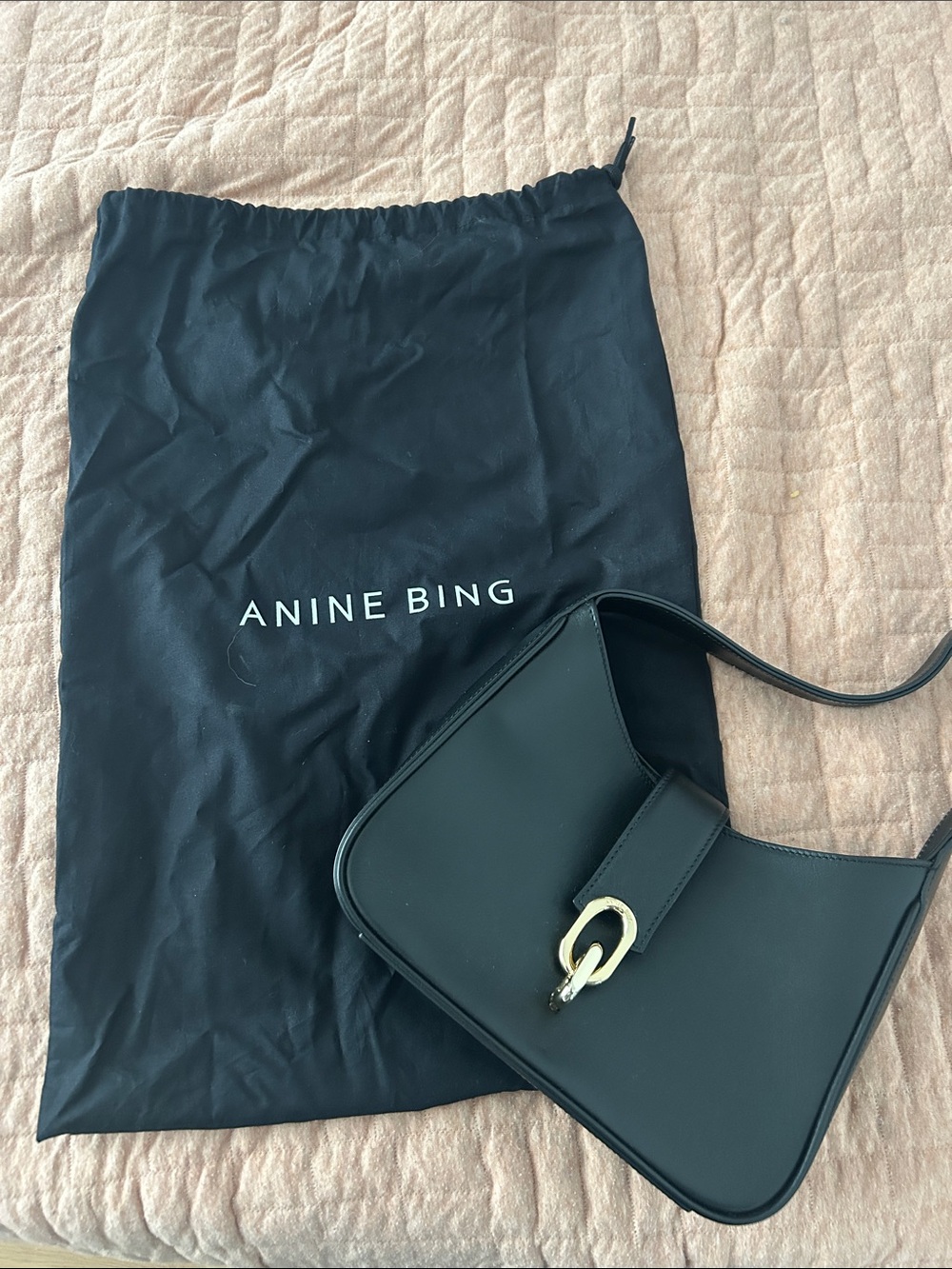 Anine Bing Mini Cleo Bag with Gold Buckle